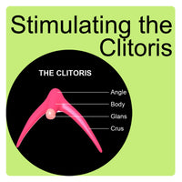 How To Stimulate the Clitoris