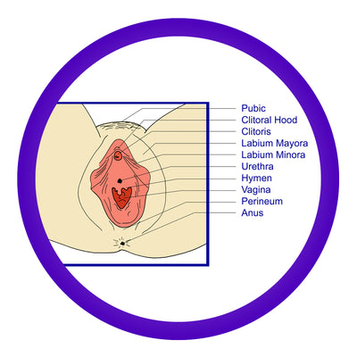 Becoming More Orgasmic