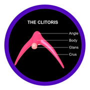 Clitoral Stimulation for Orgasm