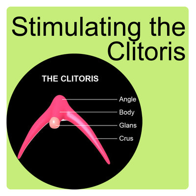 How To Stimulate the Clitoris