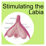 How To Stimulate the Labia